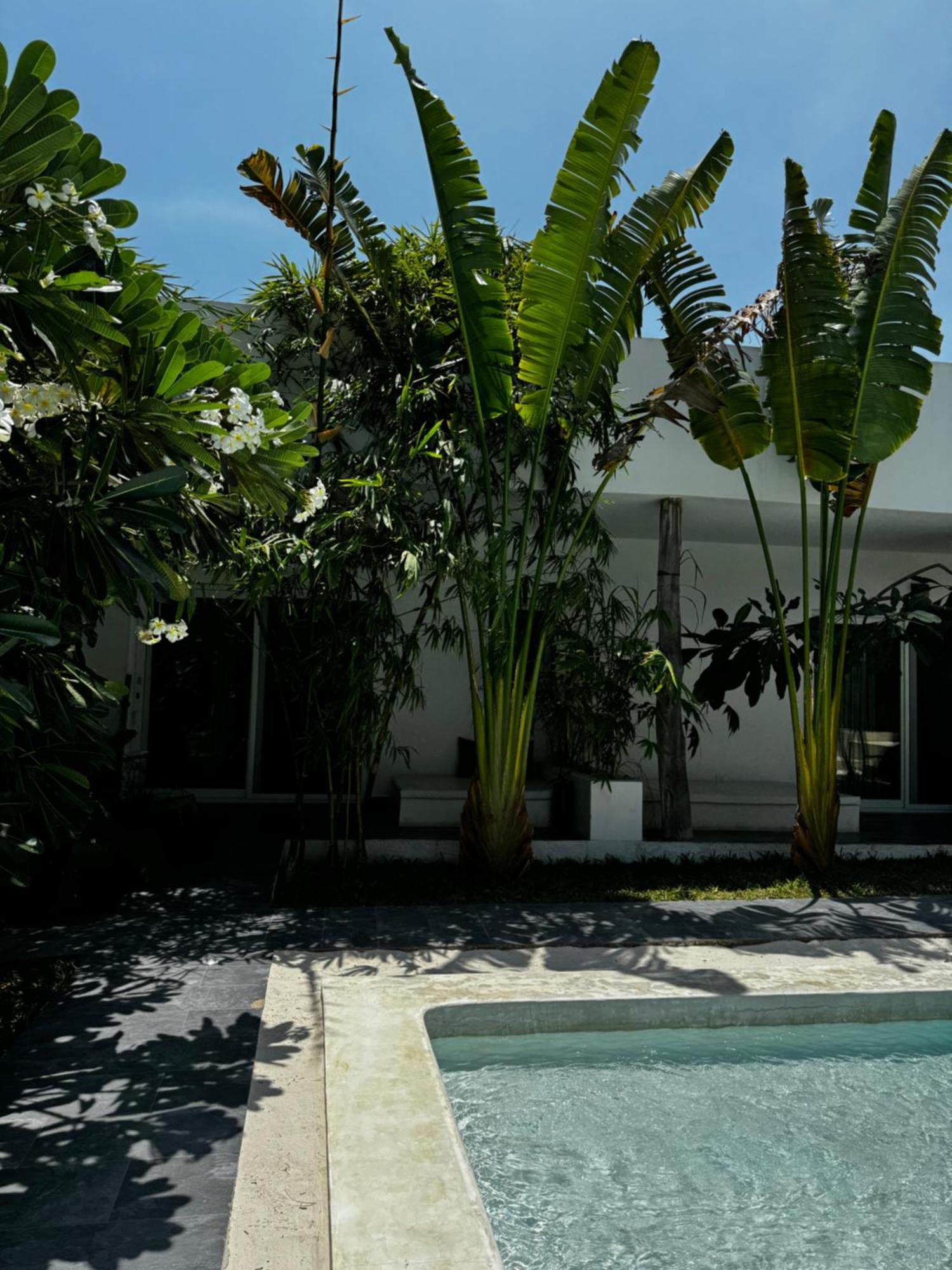 La Base Hotel Kiwengwa  Luaran gambar